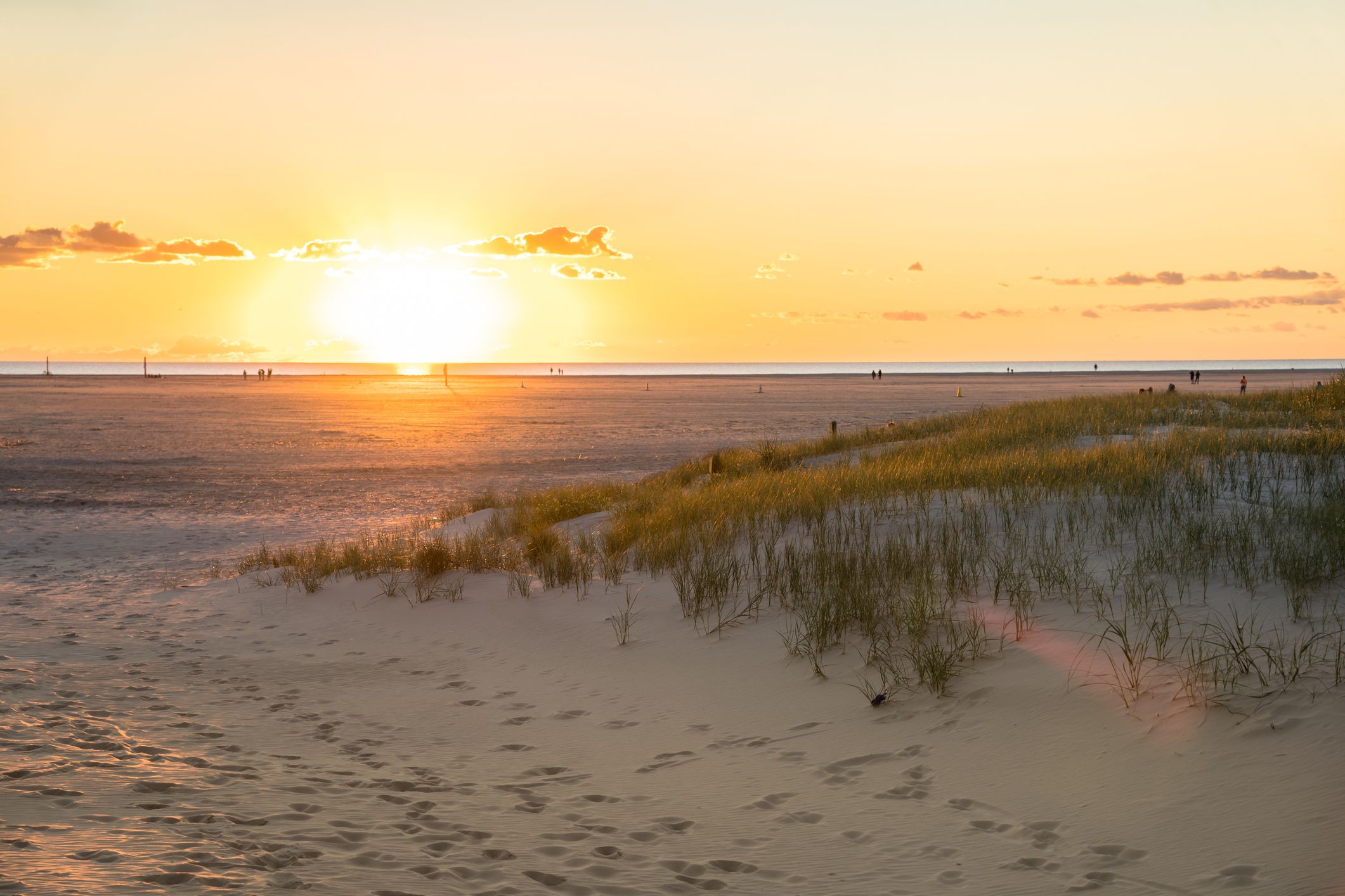 Folgen des Klimawandels an Land und auf See verändern auch das Ökosystem im Unesco-Weltnaturerbe Wattenmeer.