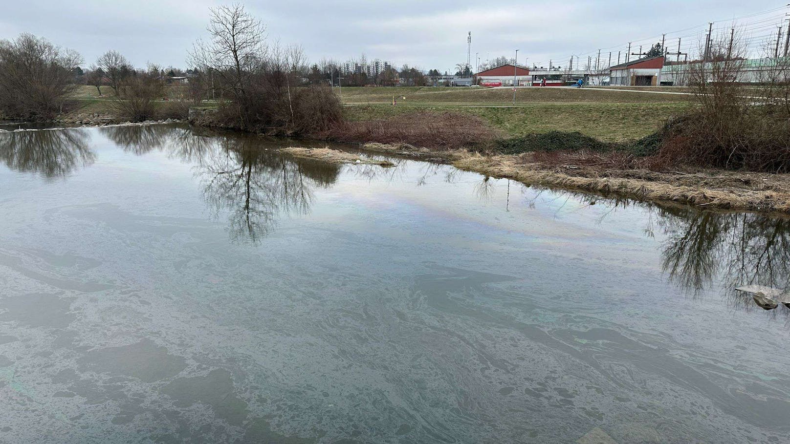 Ölfilm auf der Traisen in St. Pölten: Einsatzkräfte vor Ort