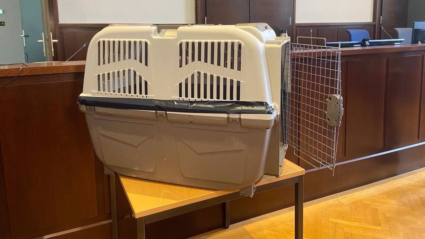 Die Hundebox wurde im Gerichtssaal aufgestellt: Der Bub muss unvorstellbare Qualen erlitten haben.