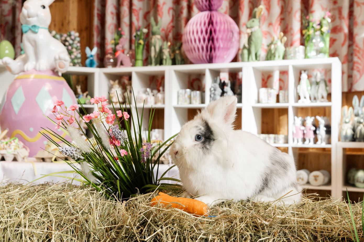 Nur einer von vielen, vielen 