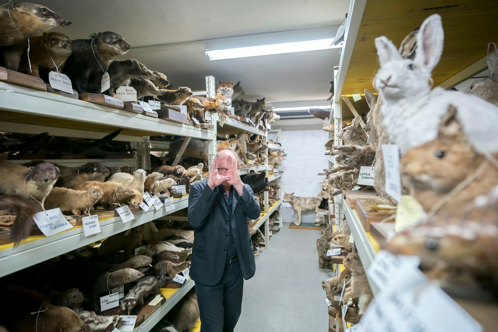 Tier-Wimmelbild mit Mensch: Fotograf Stefan Oláh fotografierte für eine Sonderausstellung im Tiefenspeicher des Naturhistorischen Museums. Für "Heute" ging er nochmals in den Keller.