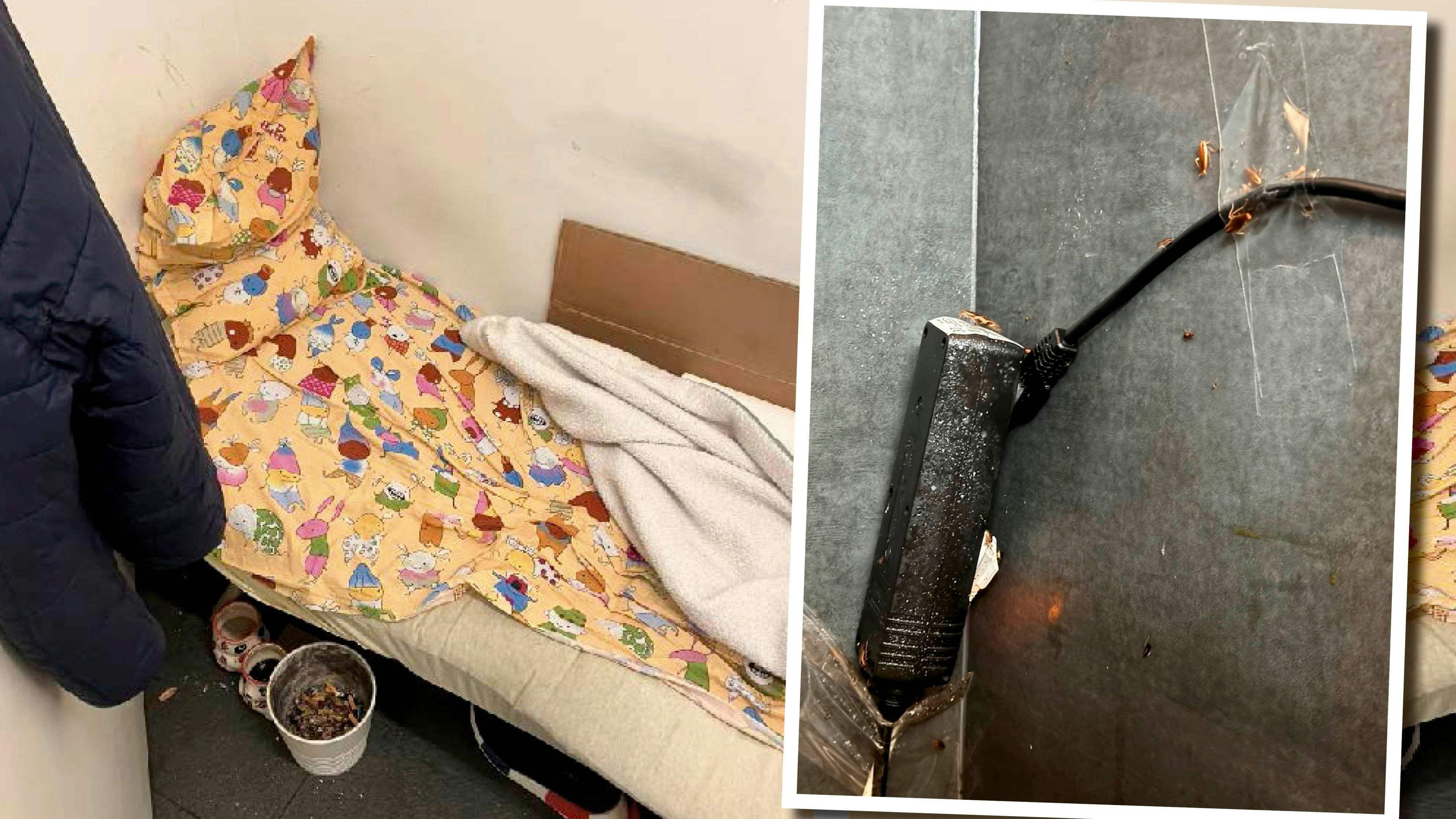 Heute.at - Kakerlaken, Bett im Lokal: Ekel-Betrieb aufgeflogen