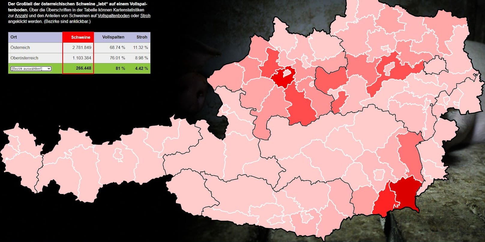 In Oberösterreich und in der südlichen Steiermark ist der Anteil der Vollspaltenböden am höchsten.