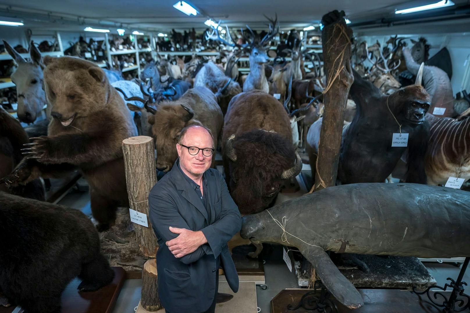 Tier-Wimmelbild mit Mensch: Fotograf Stefan Oláh fotografierte für eine Sonderausstellung im Tiefenspeicher des Naturhistorischen Museums. Für "Heute" ging er nochmals in den Keller.