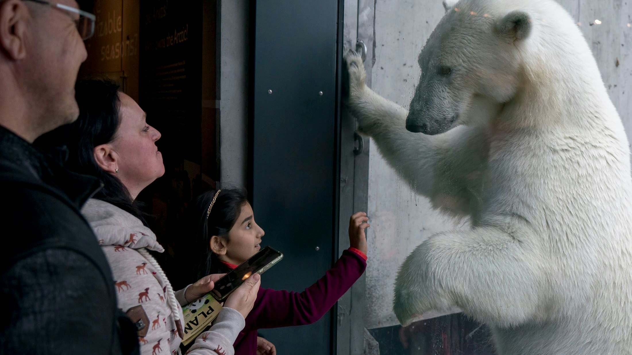 So haben sie die Bewohnerinnen und Bewohner des Tiergartens Schönbrunn vielleicht noch nie gesehen