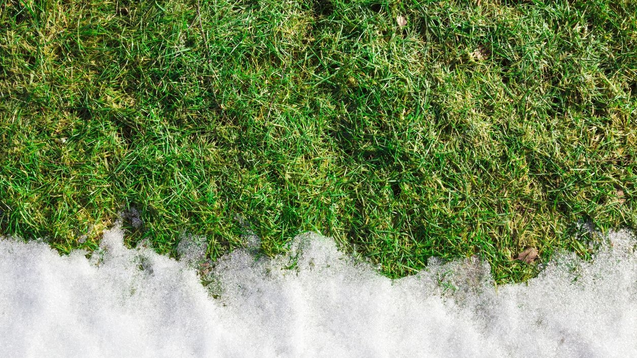 In den kommenden Tagen verabschiedet sich der Winter aus Österreich. (Symbolbild)