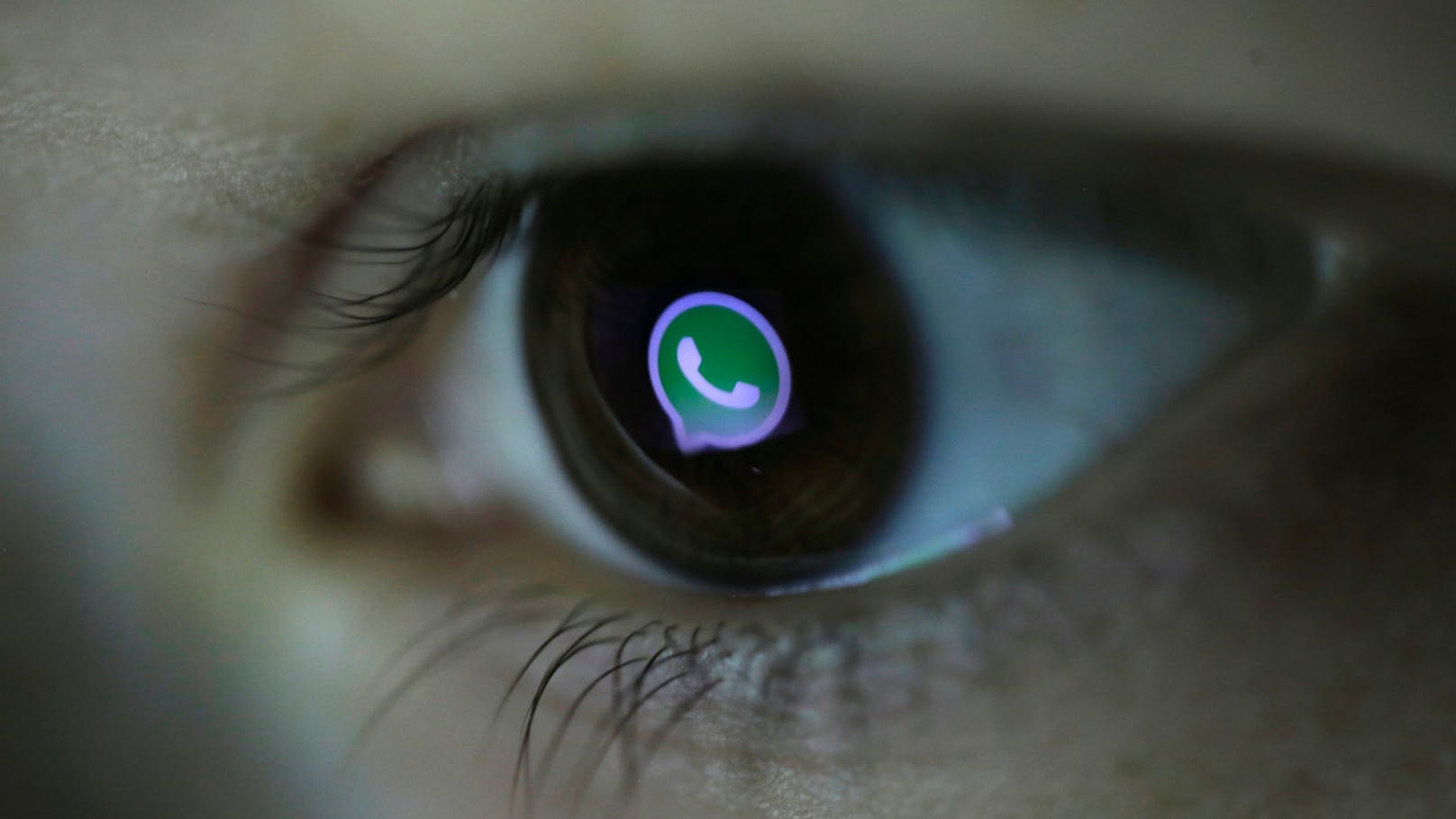 Terror-Experten in Wien – wird WhatsApp bald überwacht?