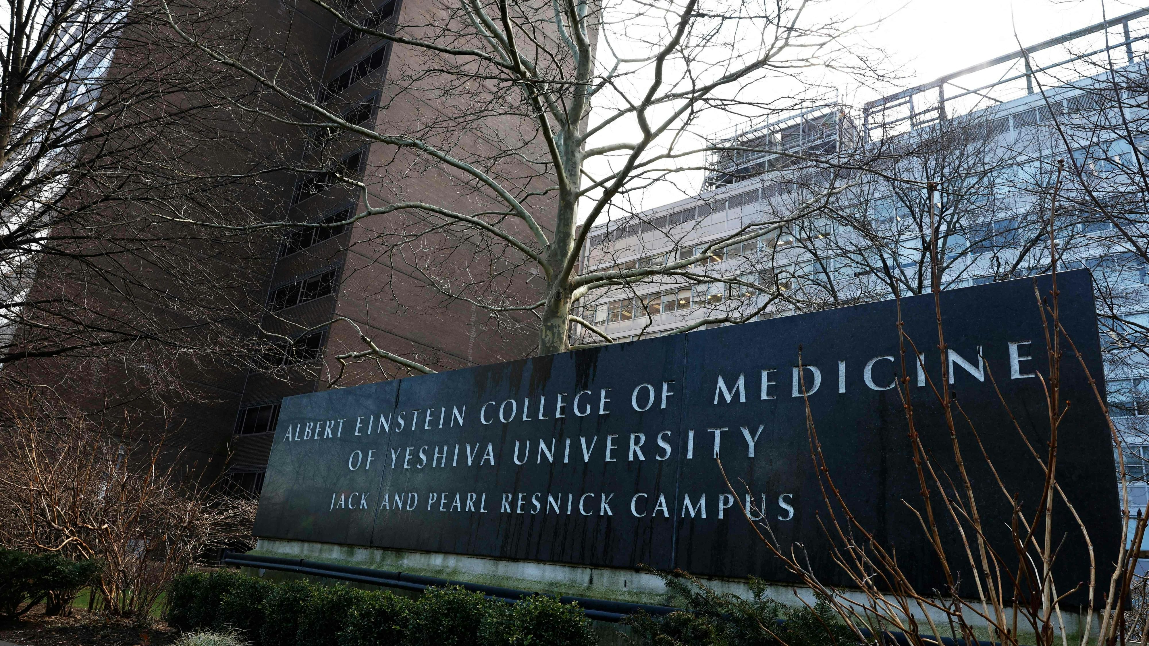 Download von www.picturedesk.com am 28.02.2024 (09:26).  NEW YORK, NEW YORK - FEBRUARY 26: The Albert Einstein College of Medicine is seen on February 26, 2024 in the Morris Park neighborhood in the Bronx borough of New York City. Dr. Ruth Gottesman, a former professor at Einstein and widow of Wall Street financier David Gottesman, announced a $1 billion donation to the school, with the money to be used to cover tuition for all students going forward. The donation is one of the largest ever charitable gifts to an educational institution in the United States. Michael M. Santiago/Getty Images/AFP (Photo by Michael M. Santiago / GETTY IMAGES NORTH AMERICA / Getty Images via AFP) - 20240226_PD6278 - Rechteinfo: Rights Managed (RM) Fotografische Urheberrechte sind garantiert. Der Kunde selbst hat insbesondere die Persönlichkeitsrechte der abgebildeten Personen in eigener Verantwortung zu beachten (AGBs Punkt 5). Nur für redaktionelle Nutzung durch Tageszeitungen und Onlinemedien!