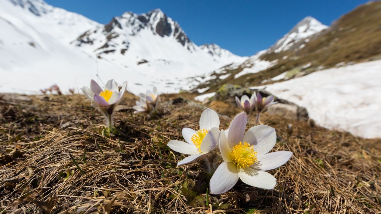 Heute.at - Wärmster Winter seit Messbeginn in Österreich