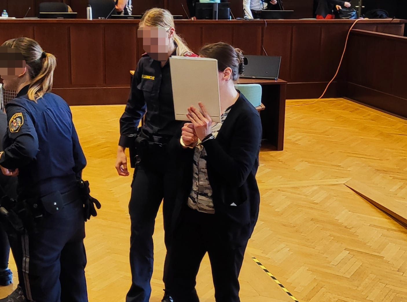 Mutter vor Gericht: Die 33-Jährige ist mittlerweile wieder in der Justizanstalt Asten im Maßnahmenvollzug.&nbsp;