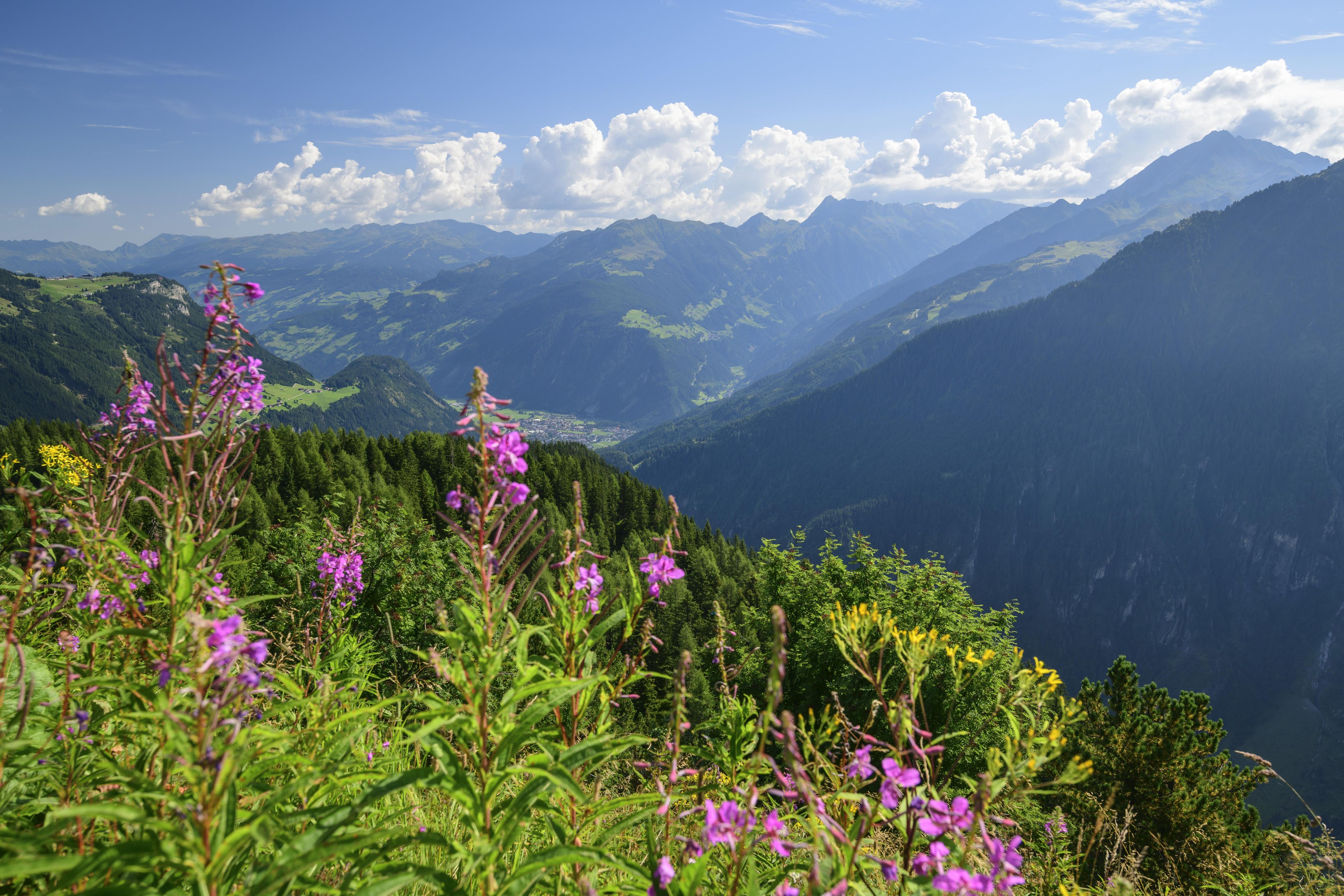 Am Wochenende klettern die Temperaturen auf bis zu 22 Grad.