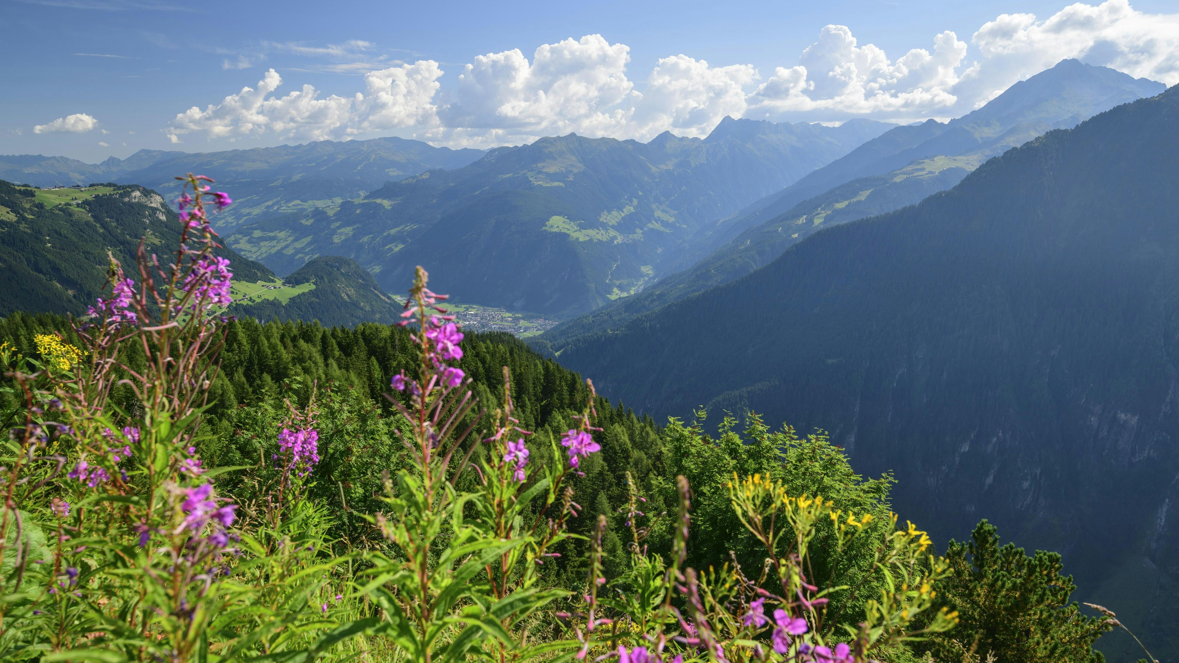 Heute.at - Erst Schnee, dann kommt totaler Wetter-Wechsel