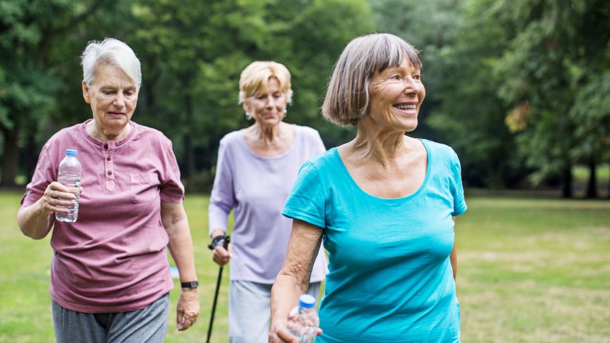 Outdoor shot of healthy senior women walking in park