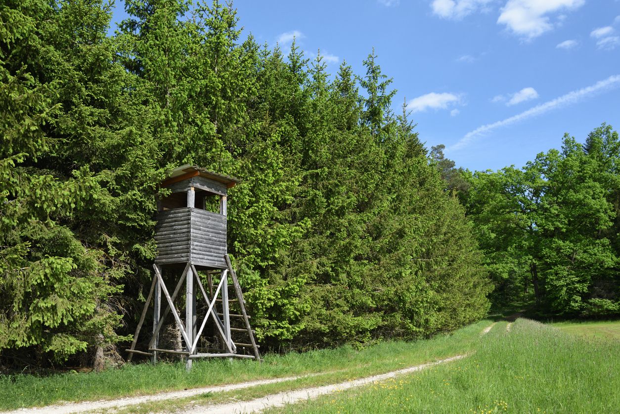 Der 61-jährige konnte von dem Jagdaufsichtsorgan bis zum Eintreffen der Polizei festgehalten werden. (Symbolbild)