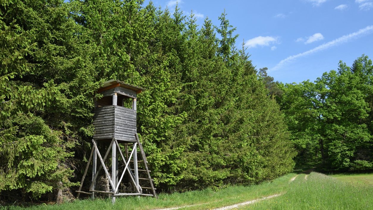 Der 61-jährige konnte von dem Jagdaufsichtsorgan bis zum Eintreffen der Polizei festgehalten werden. (Symbolbild)