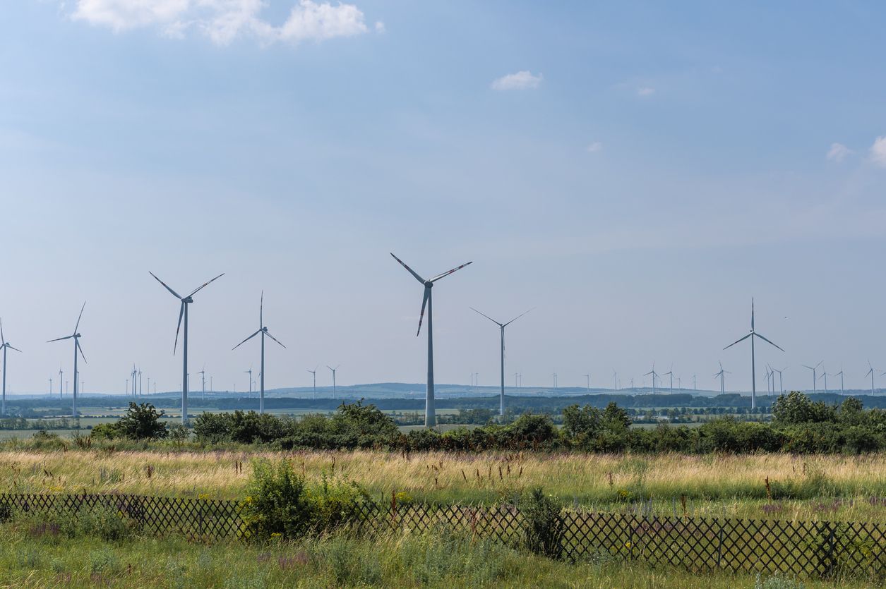 Die nächsten Tage werden in weiten Teilen Österreichs frühlingshaft. Archivbild.
