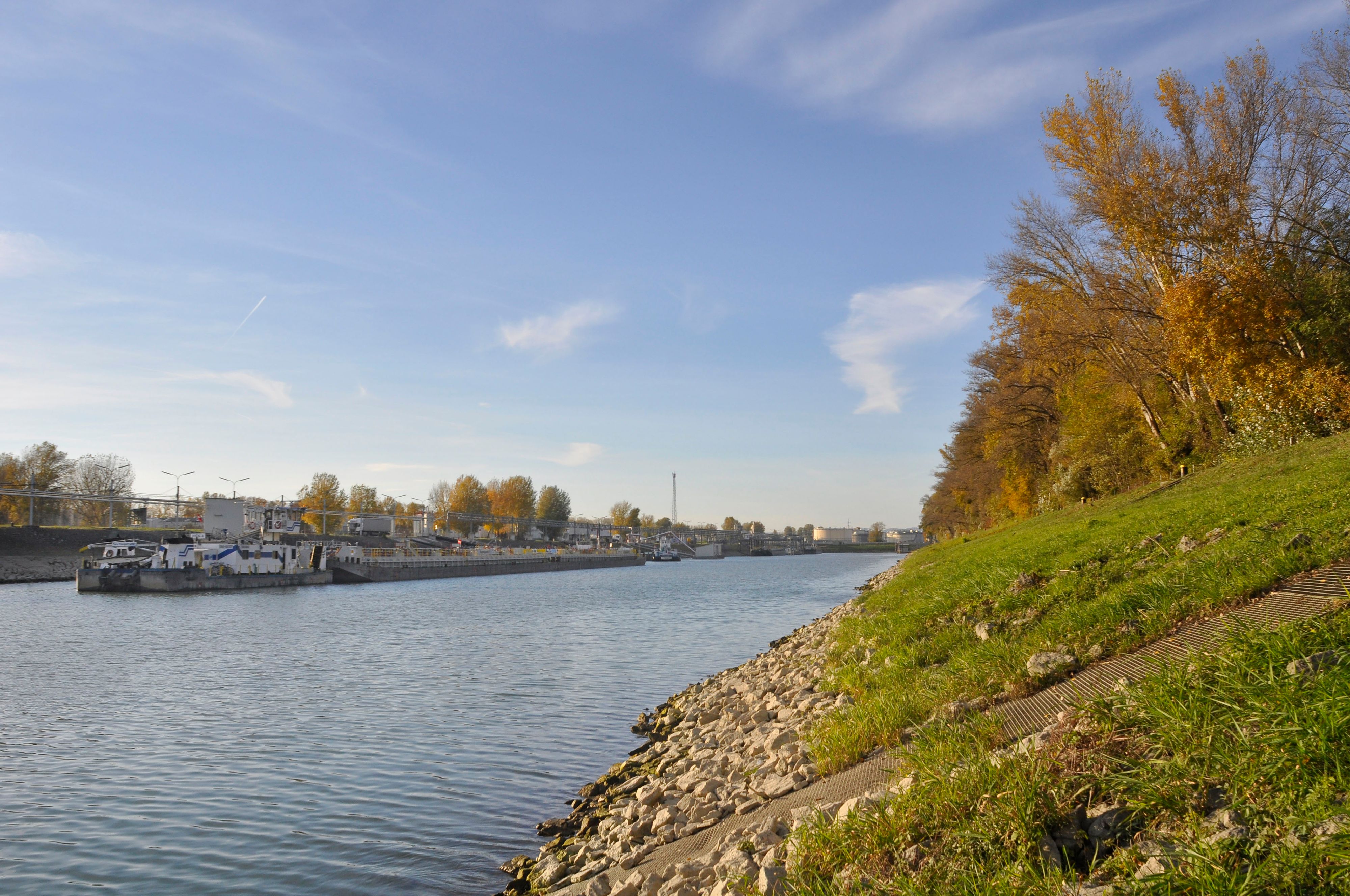 Der Tote wurde im Bereich des Ölhafens Lobau gefunden. Archivbild. 