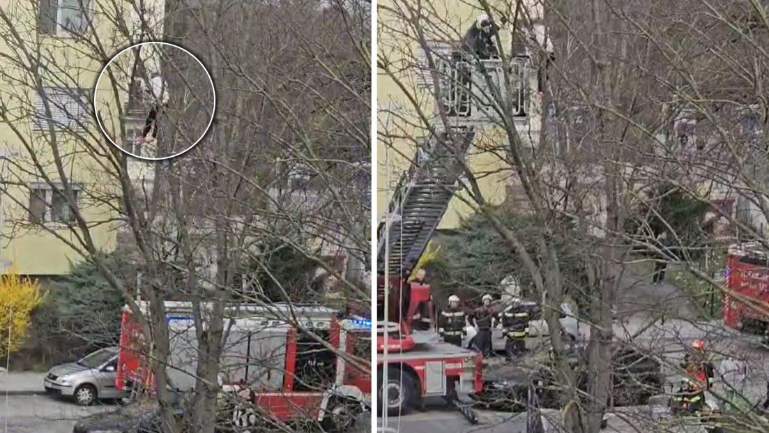 Die komplizierte Rettungsaktion am Hietzinger Kai im 13. Bezirk.