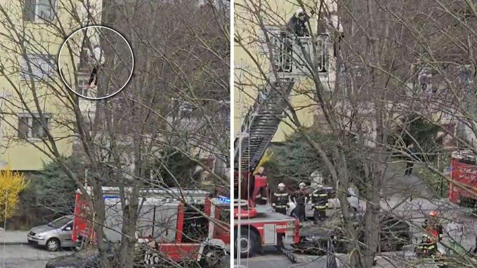Bub in Baum gefangen: Feuerwehr rettet Barfuß-Kletterer