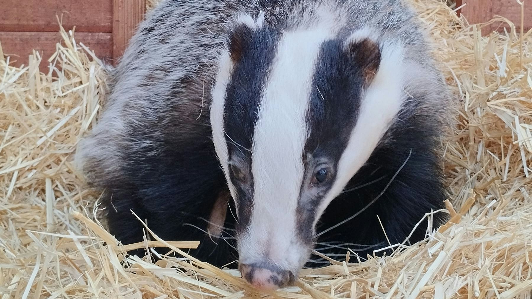 Wie könnte die blinde Dame denn heißen? 