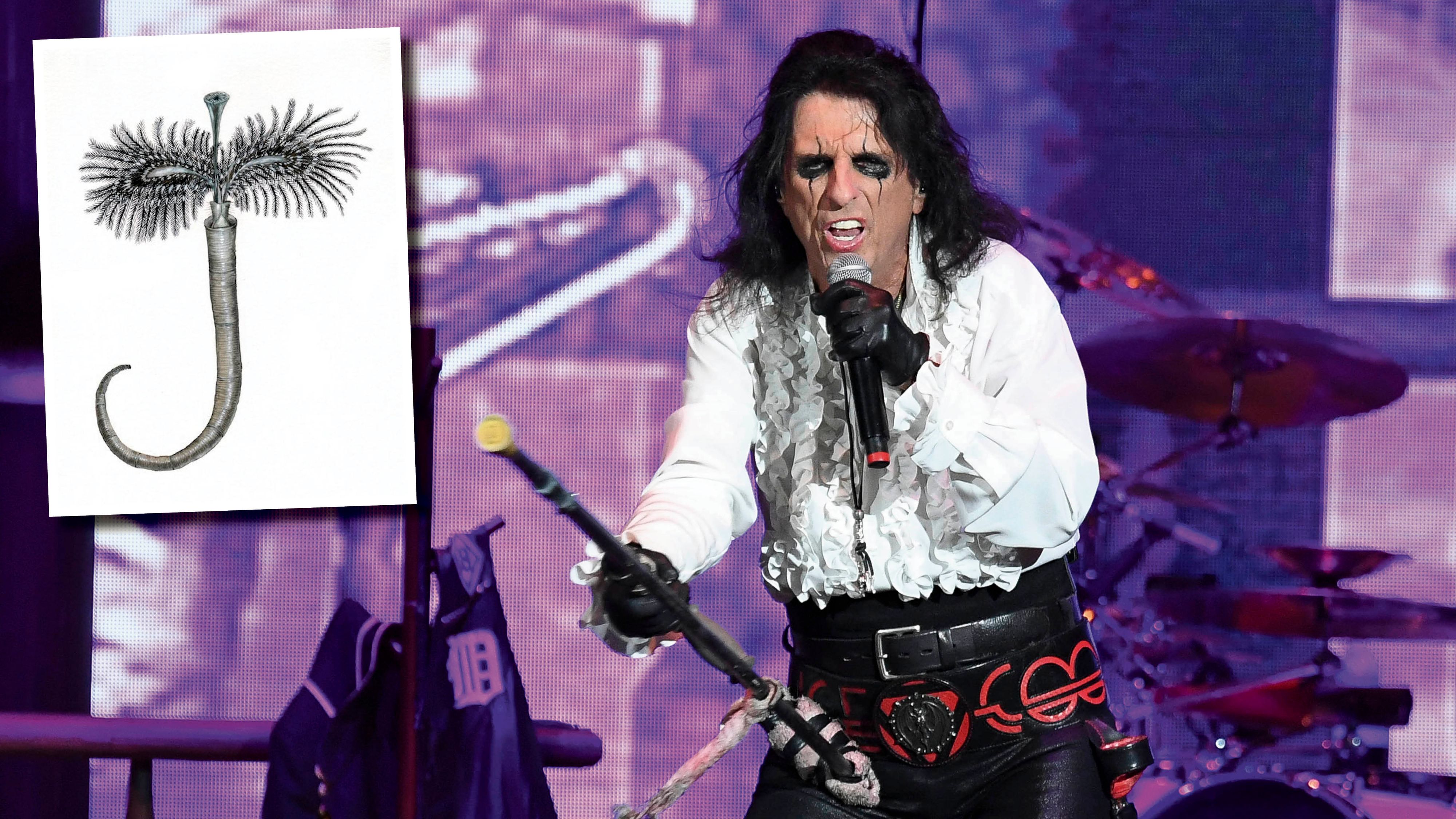 Rockgott Alice Cooper und der jetzt nach ihm benannte Wurm