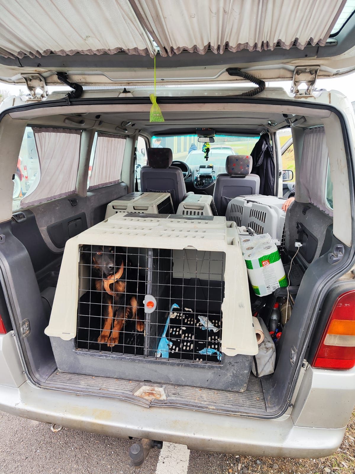 Der illegale Tiertransport wurde gestoppt.