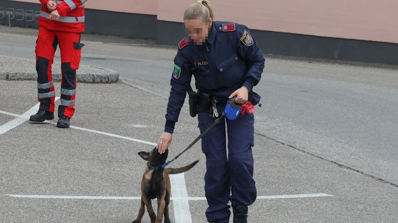 In Attnang-Puchheim wurde nach einem abgängigen 29-Jährigen gesucht. Gegen Mittag machten die Einsatzkräfte eine traurige Entdeckung.