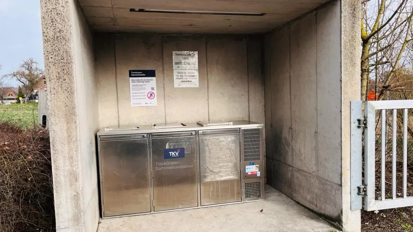 Heute.at - Mann steckte kopfüber in Tierkadaver-Container fest