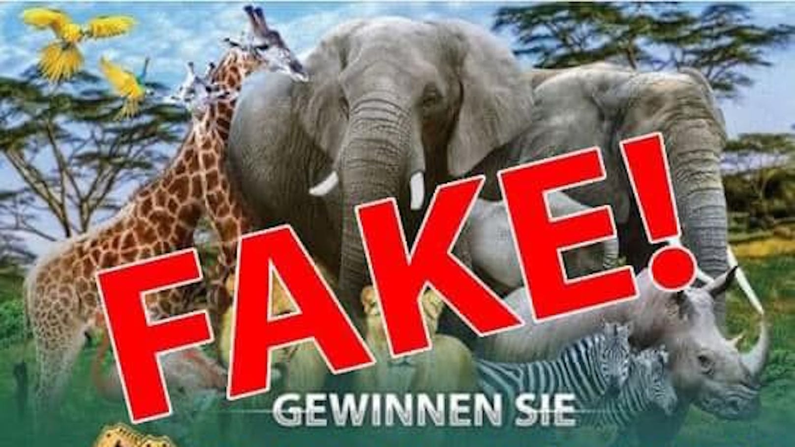 Achtung Fake! Zoo warnt vor falschem Gewinnspiel
