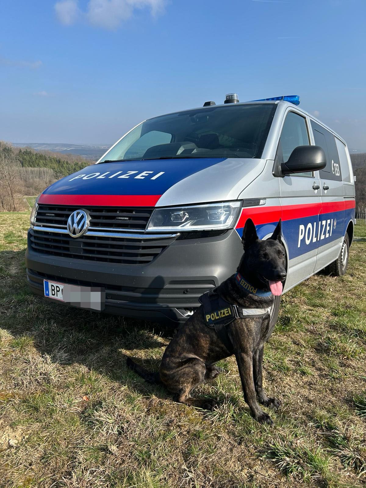 Schnelle Interventionsgruppe und Polizeidiensthund 