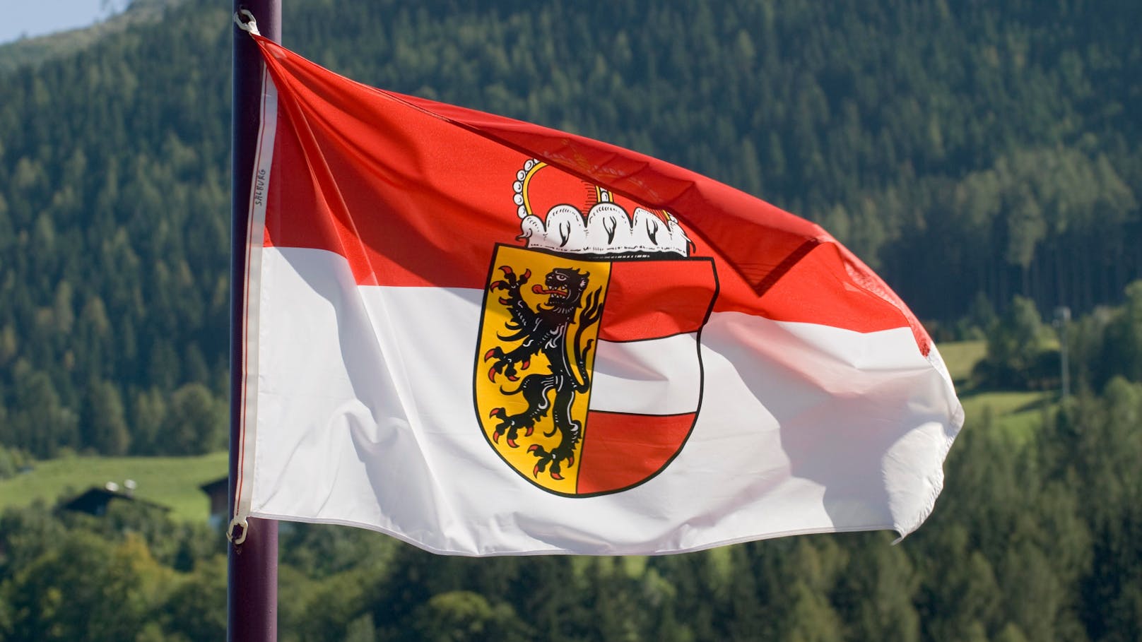 Salzburg-Wahl 2024: So hat deine Gemeinde gewählt