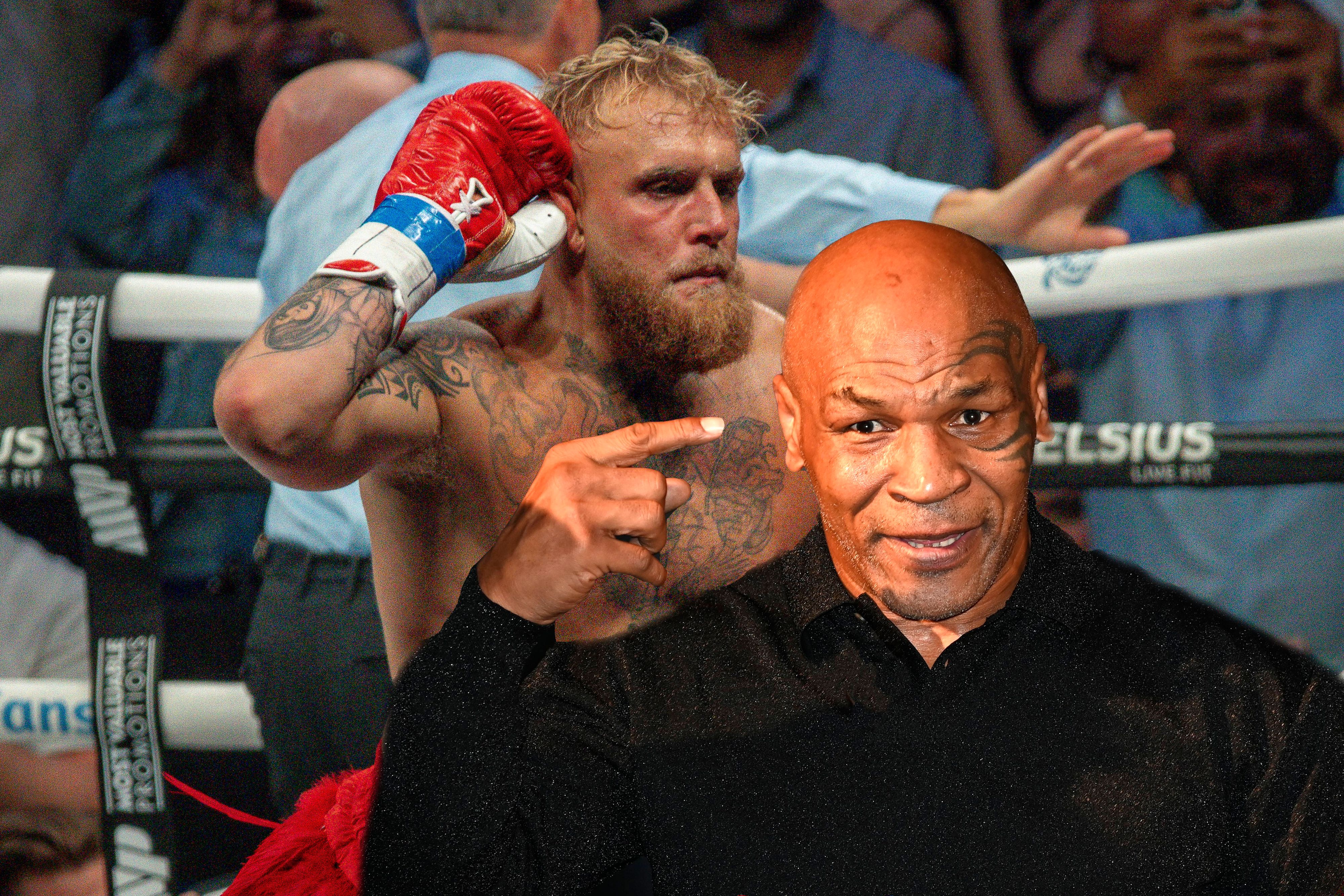 Jake Paul trifft auf Mike Tyson