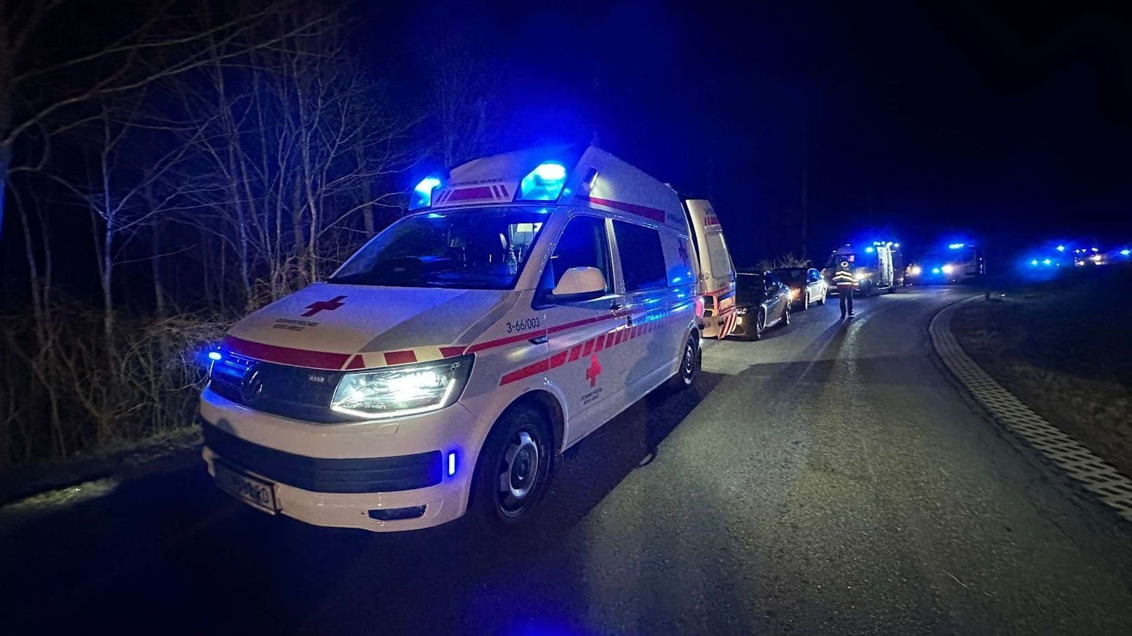 Ein PKW kam aus bisher ungeklärten Gründen von der Fahrbahn ab und kollidierte frontal mit einem Baum.