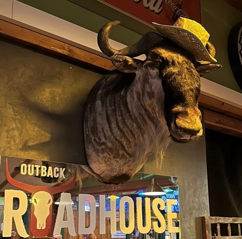 Auch der Stierkopf wurde wieder zurückgebracht.