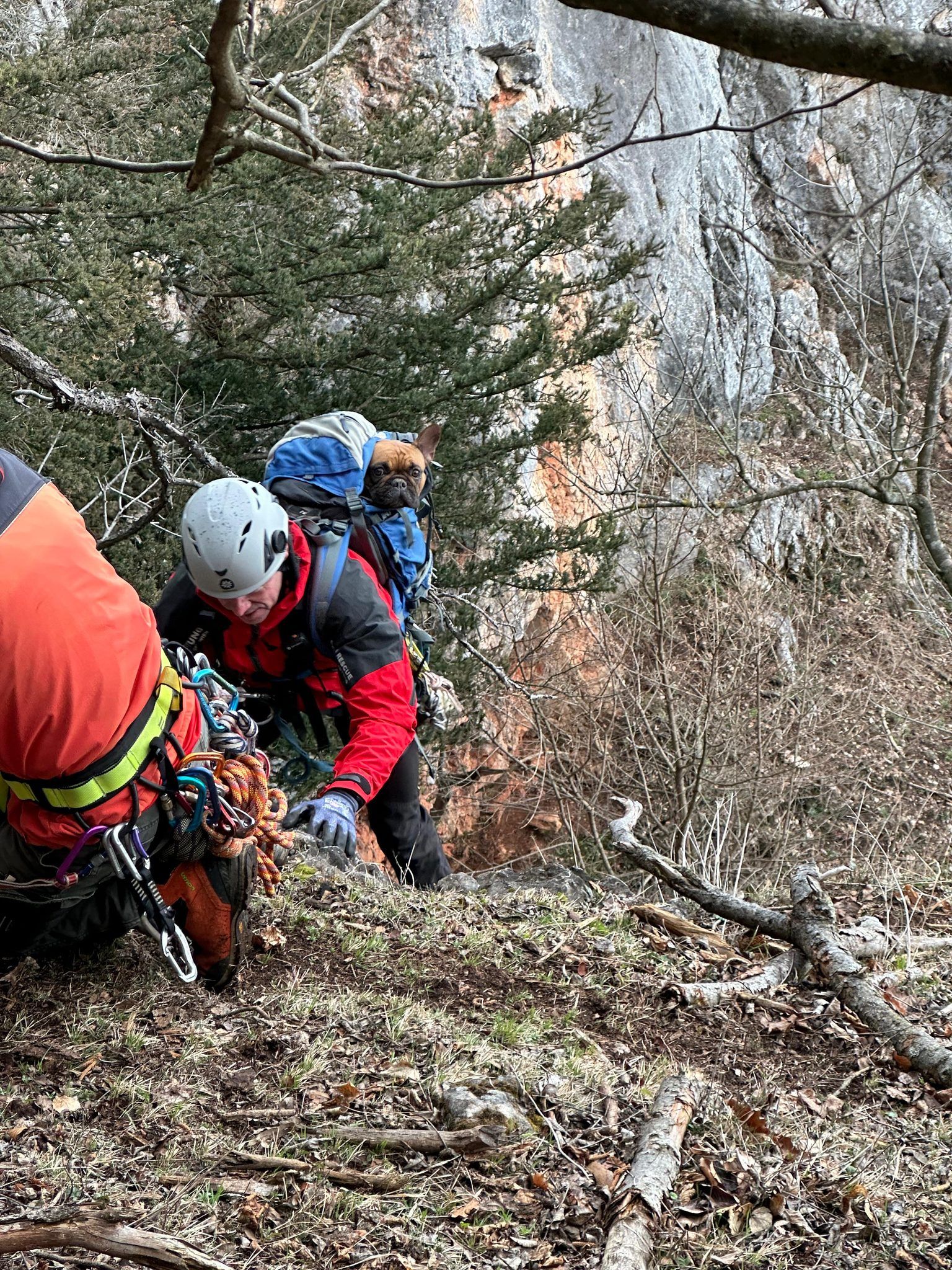 Die Bergrettung Hohe Wand rettete Hündin 