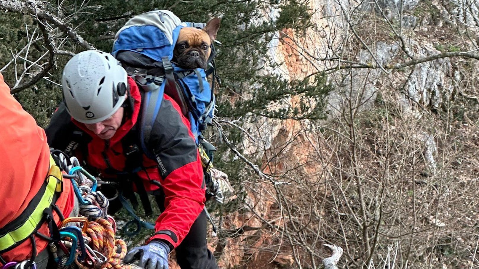 Bergtour mit Familie - Hund stürzte 40 Meter ab