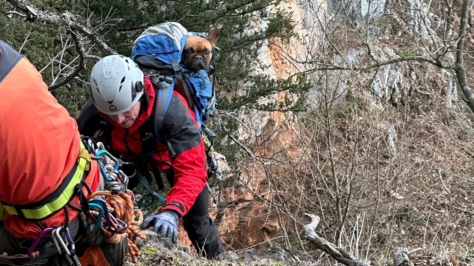 Die Bergrettung Hohe Wand rettete Hündin "Luna".