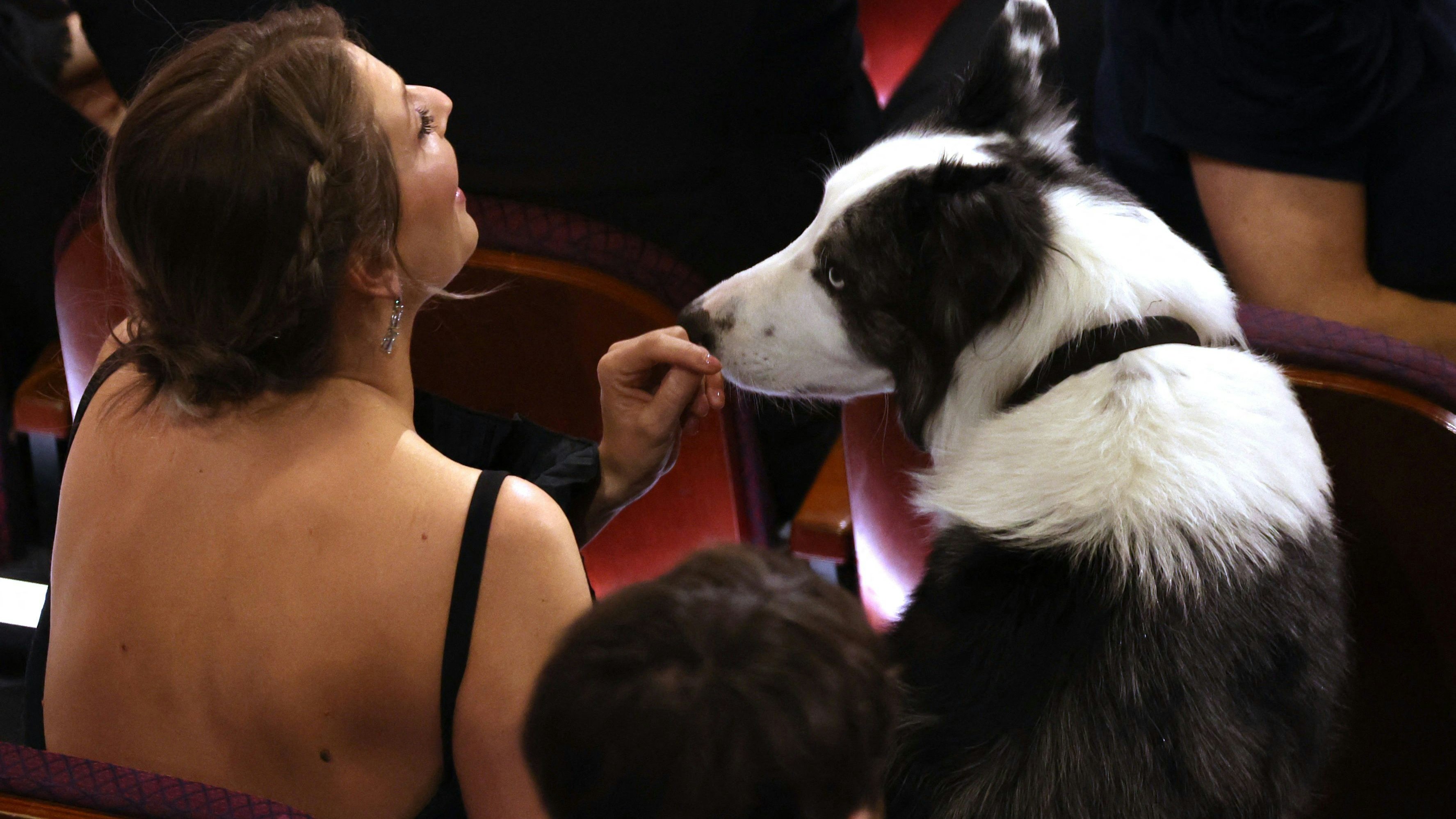 "Messi" ist Co-Darsteller des nominierten Filmdramas "Anatomie eines Falls". 