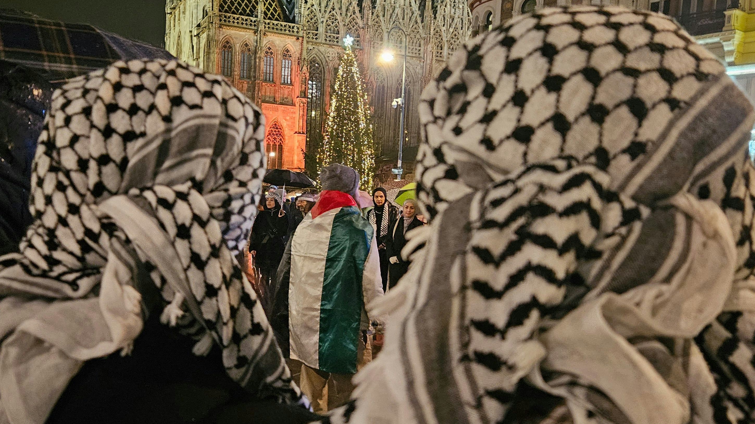Palästinenser-Demo am Stephansplatz: "Das Aufstacheln zum Hass sollte bei uns nicht nur theoretisch untersagt sein"