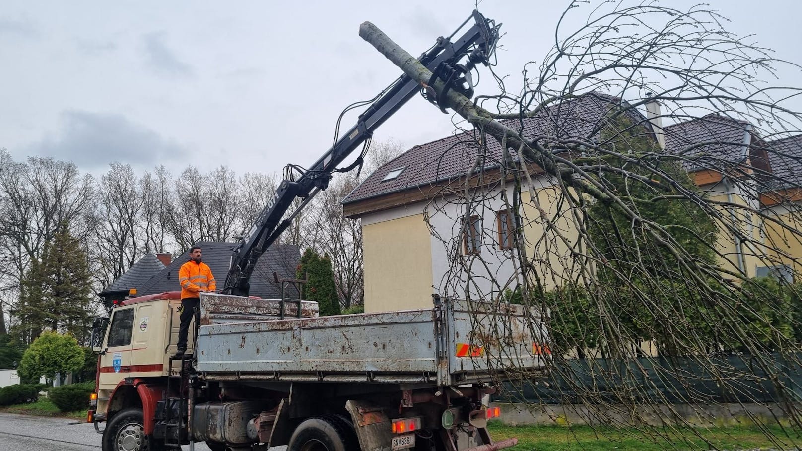 Pkw prallt gegen Baum: Lenker begeht Fahrerflucht.