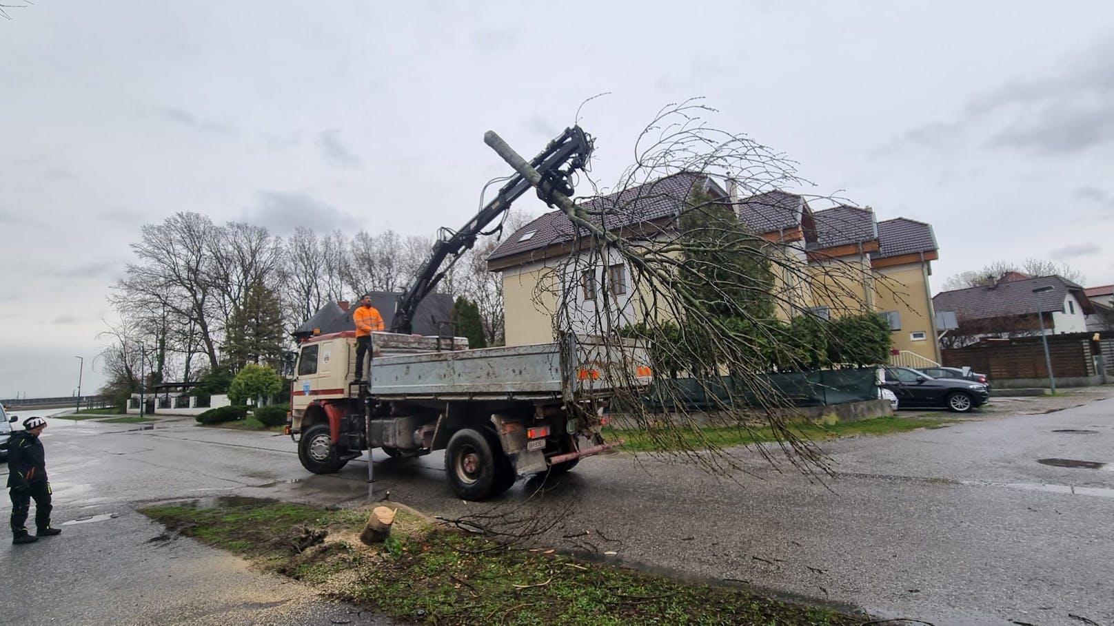 Pkw prallt gegen Baum: Lenker begeht Fahrerflucht.