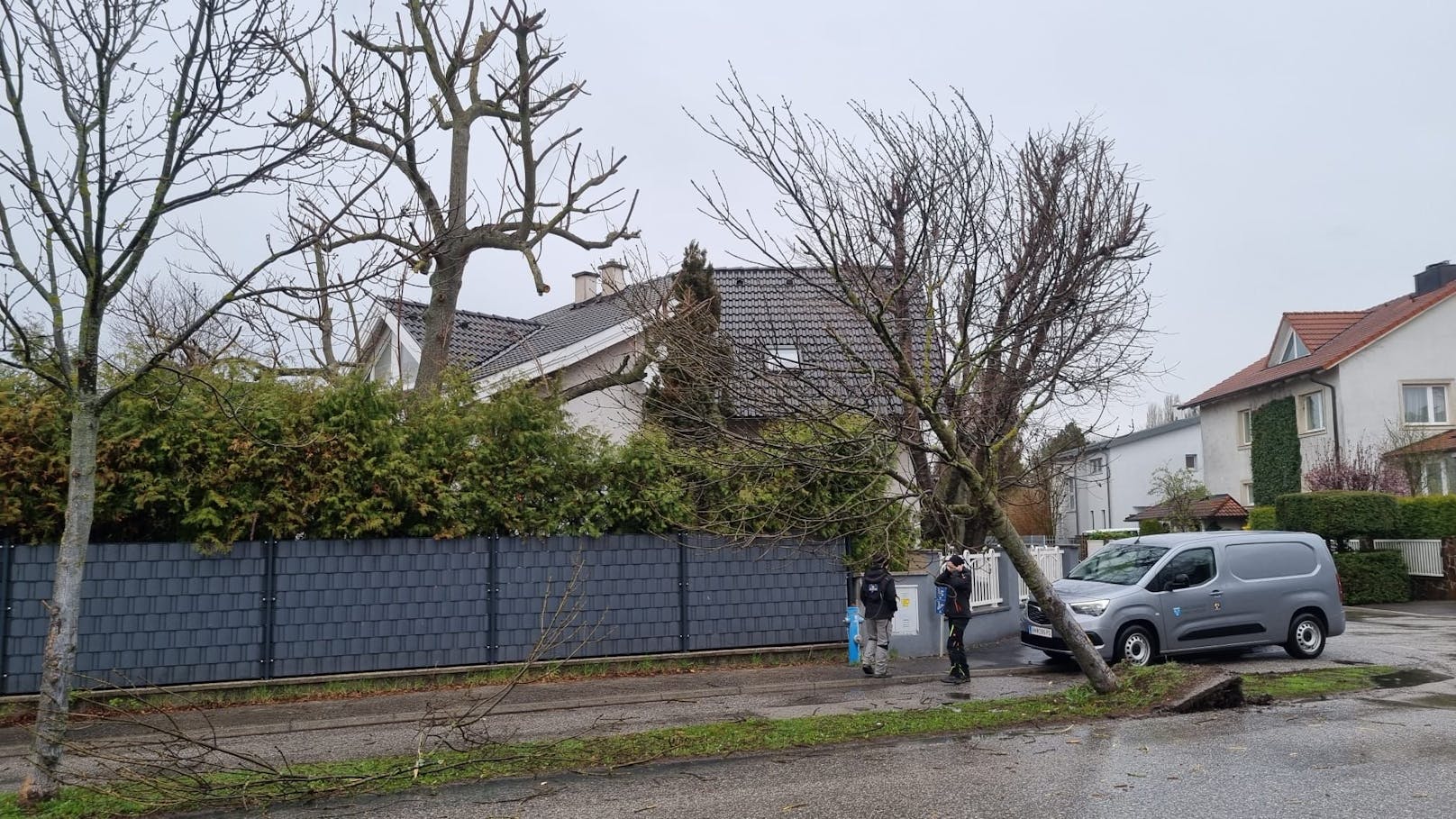 Pkw prallt gegen Baum: Lenker begeht Fahrerflucht.