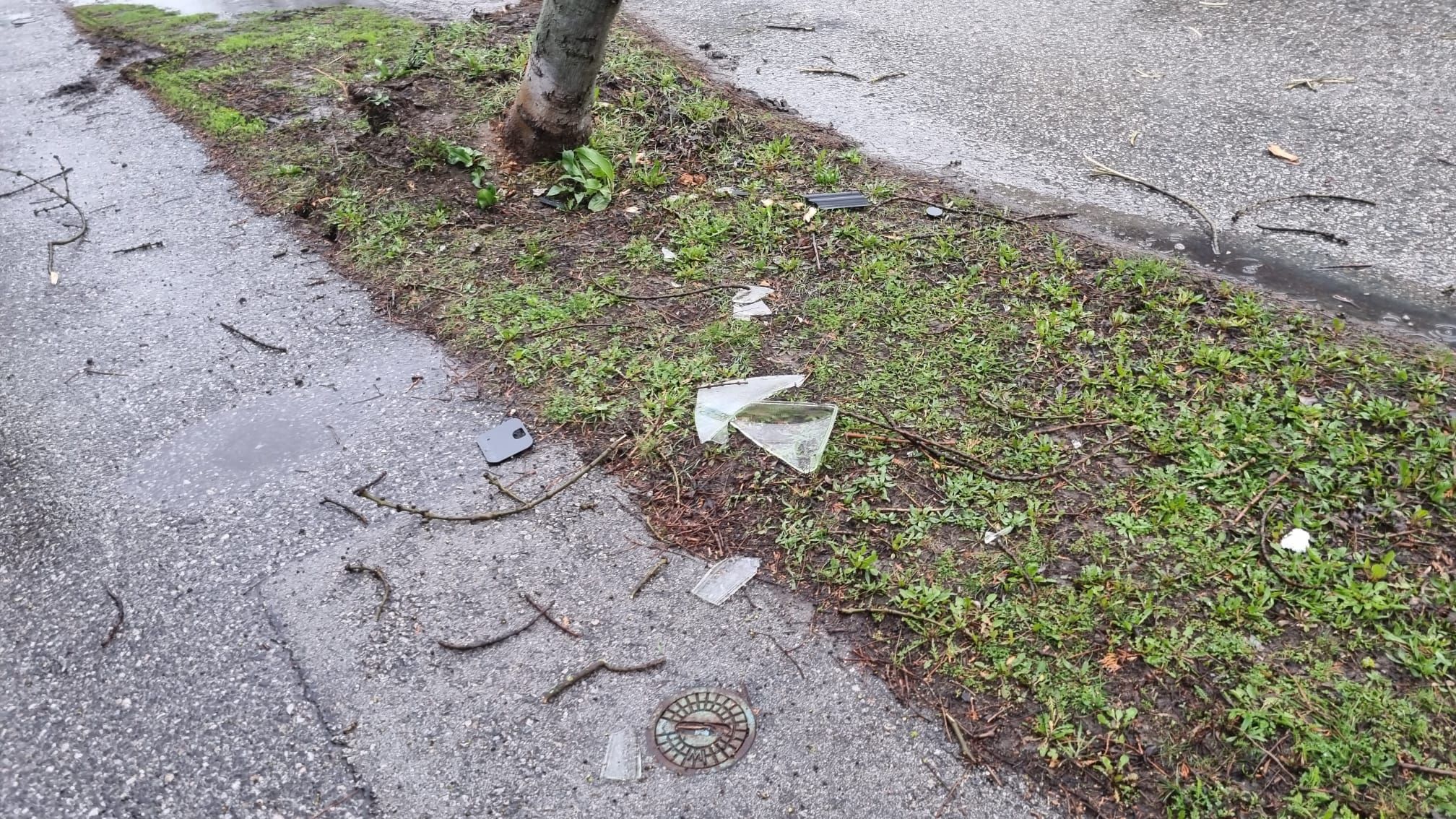 Pkw prallt gegen Baum: Lenker begeht Fahrerflucht.