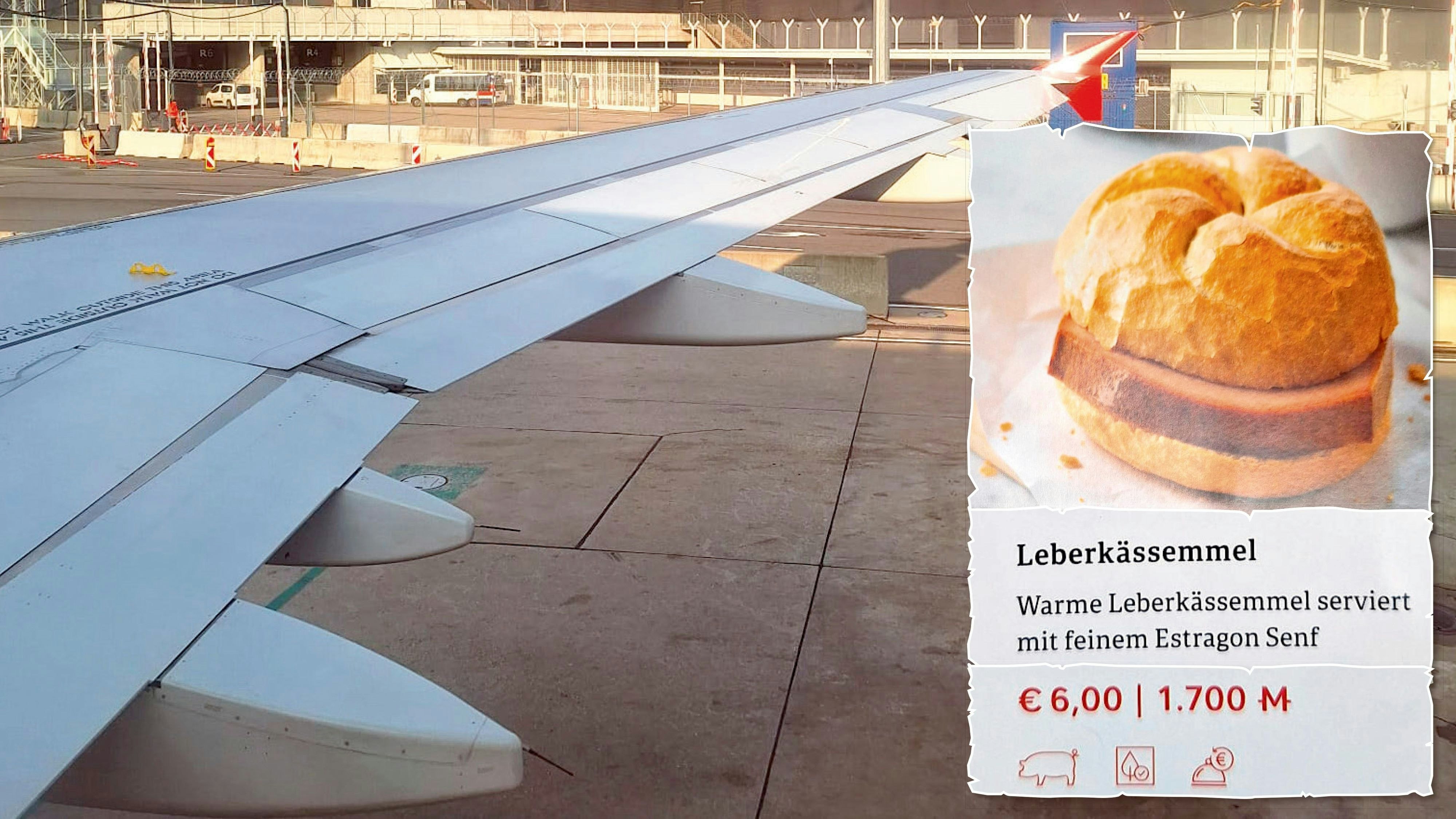 Leberkässemmerl Flugzeug