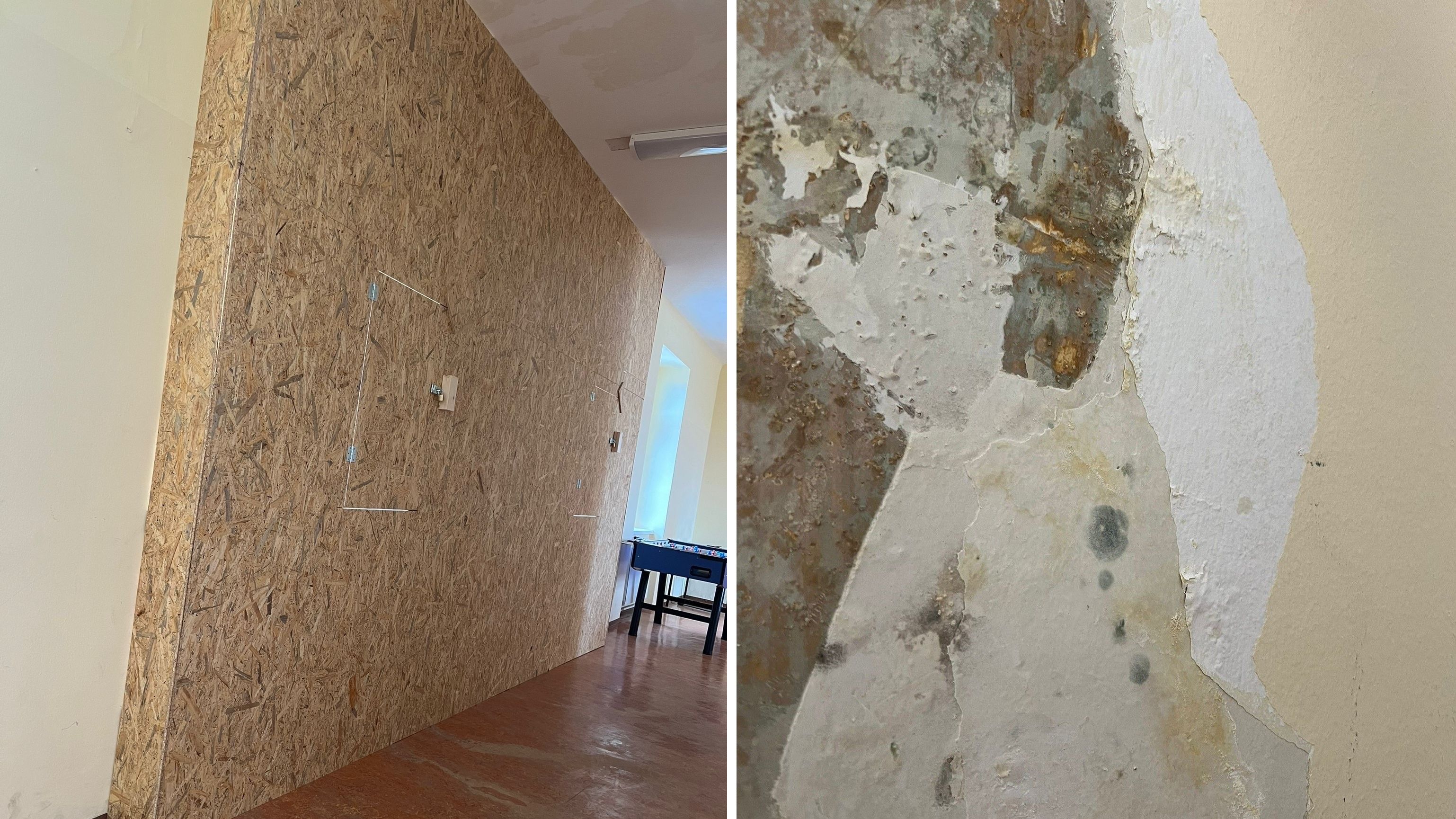 In einer Floridsdorfer Schule sehen die Wände gewöhnungsbedürftig aus.