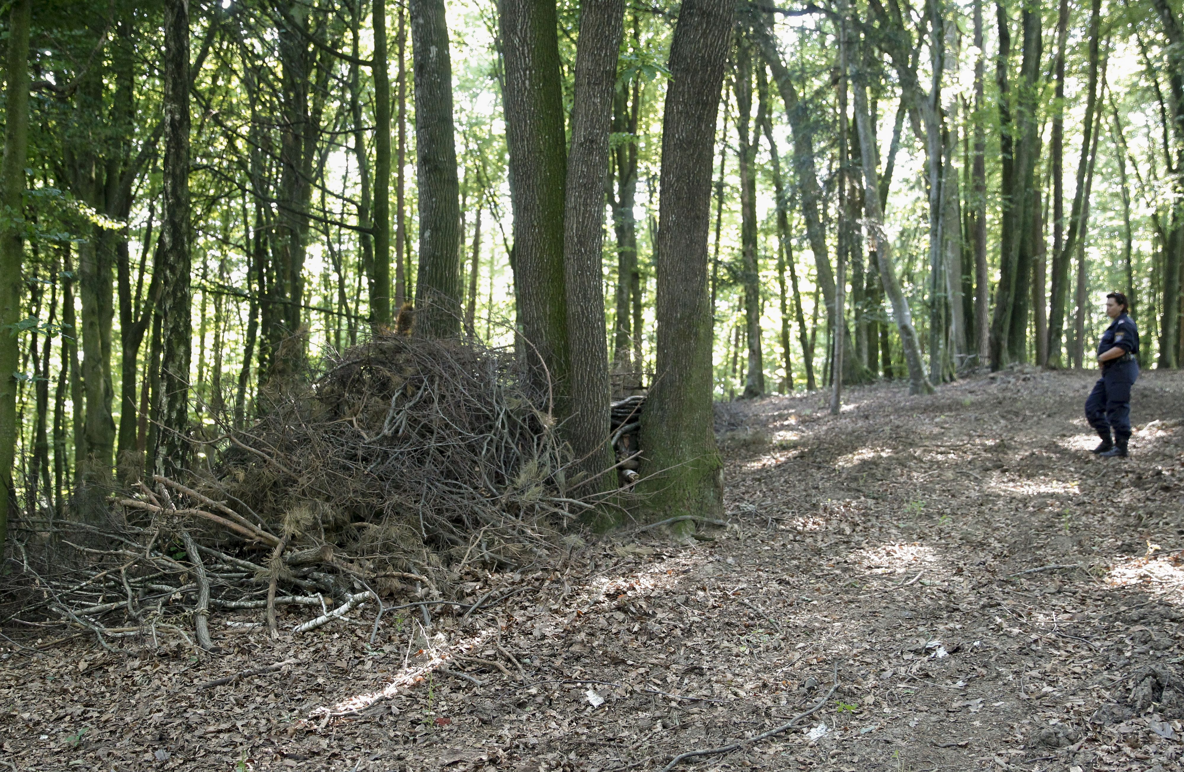 Das Mädchen wurde in einem Waldstück in Kärnten vergewaltigt. (Symbolfoto)