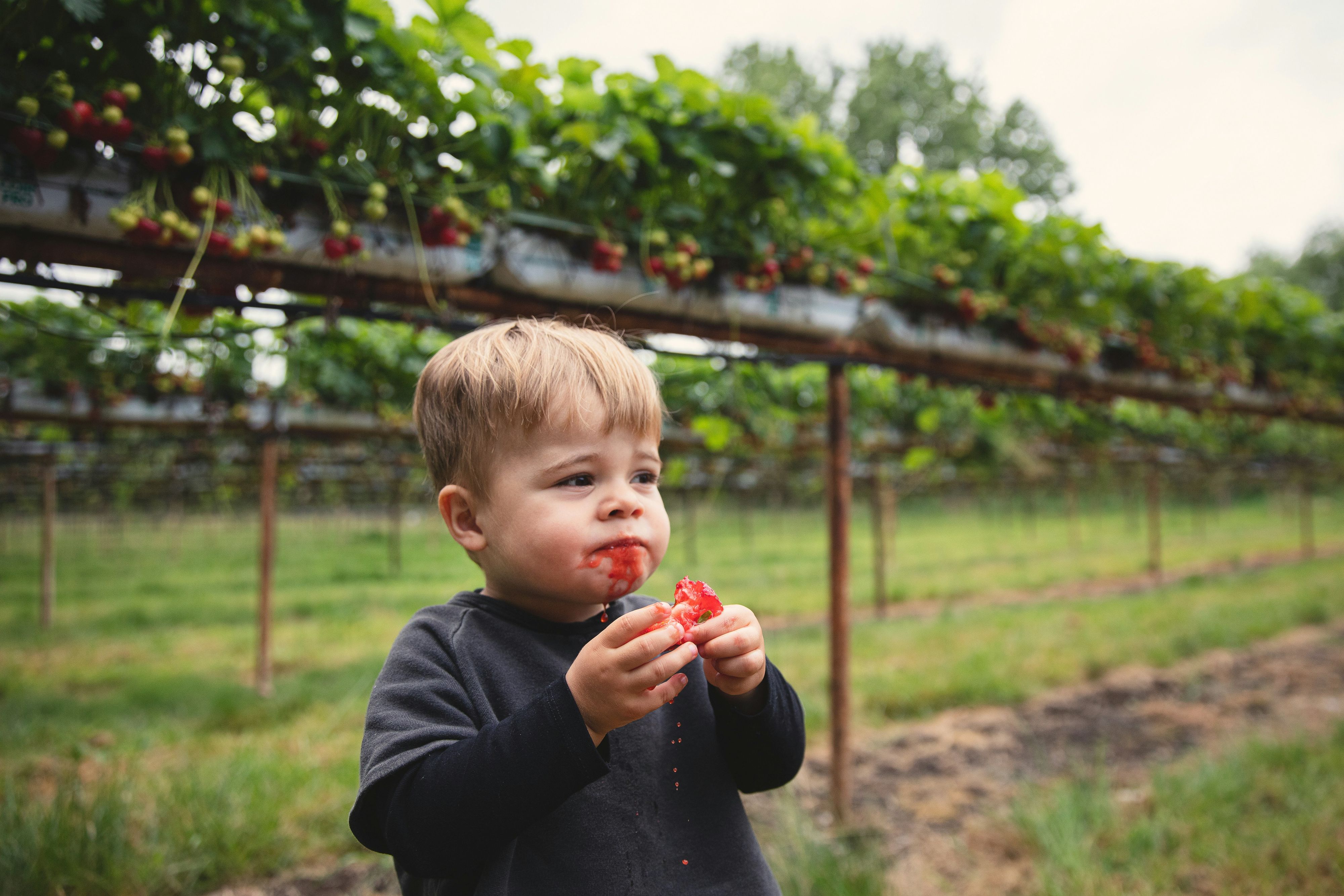 Kleine Kinder zu motivieren gesunde Nahrung zu essen, ist nicht immer so einfach. Viele Eltern greifen da lieber auf fertiges zurück.