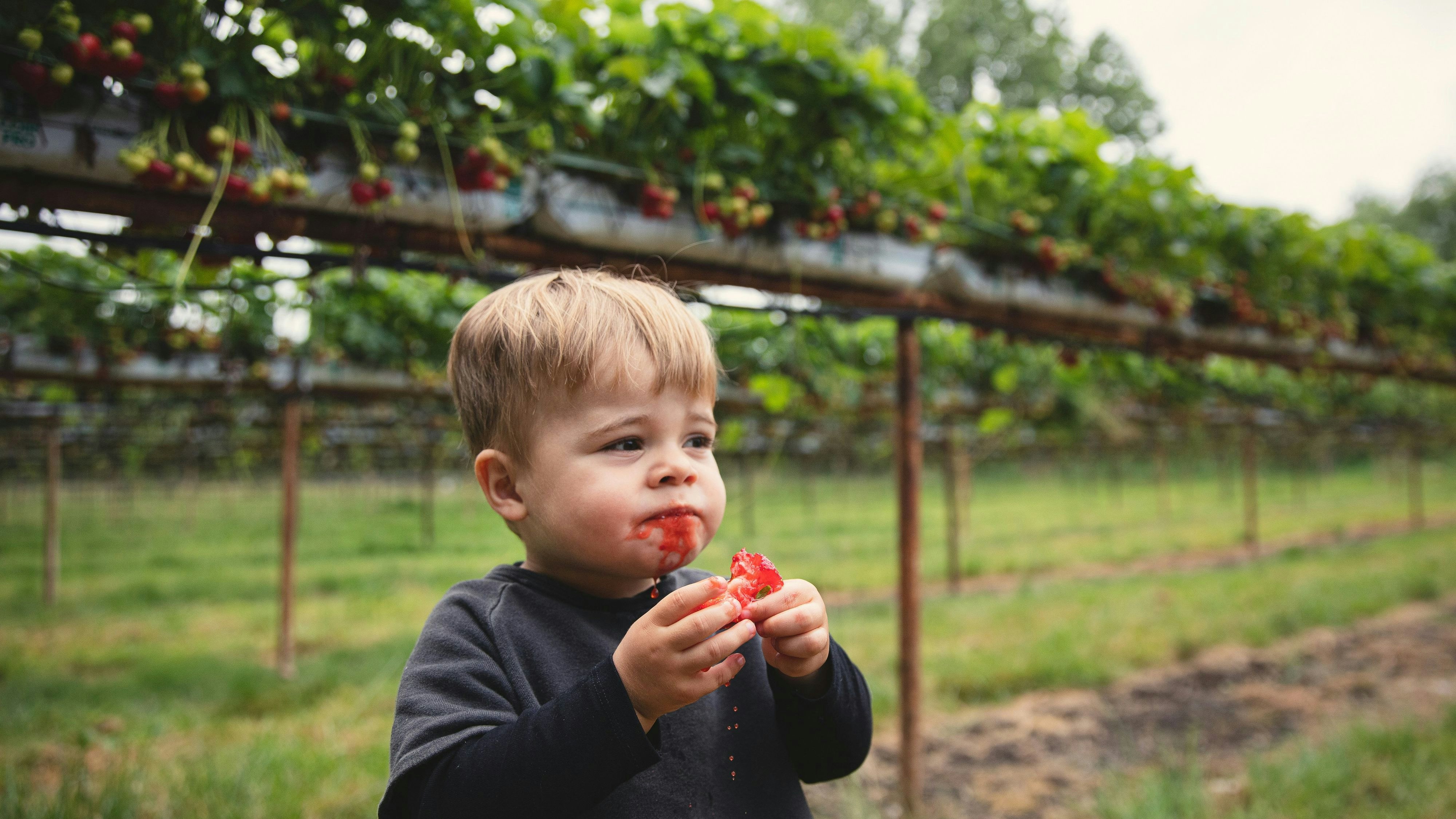 Kleine Kinder zu motivieren gesunde Nahrung zu essen, ist nicht immer so einfach. Viele Eltern greifen da lieber auf fertiges zurück.