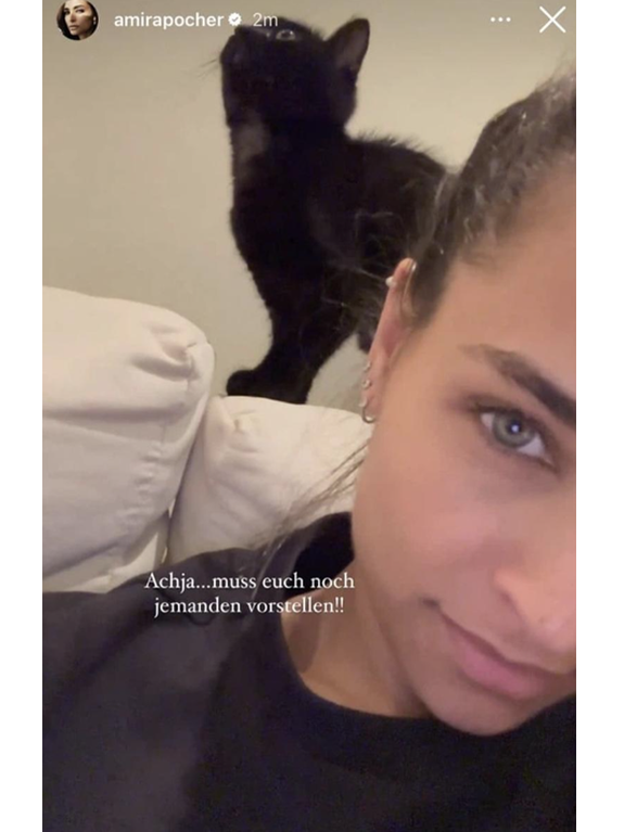 Wenige Wochen nach der Trennung von Oliver Pocher bekam Amira Pocher Kater Lui zum Geburtstag.