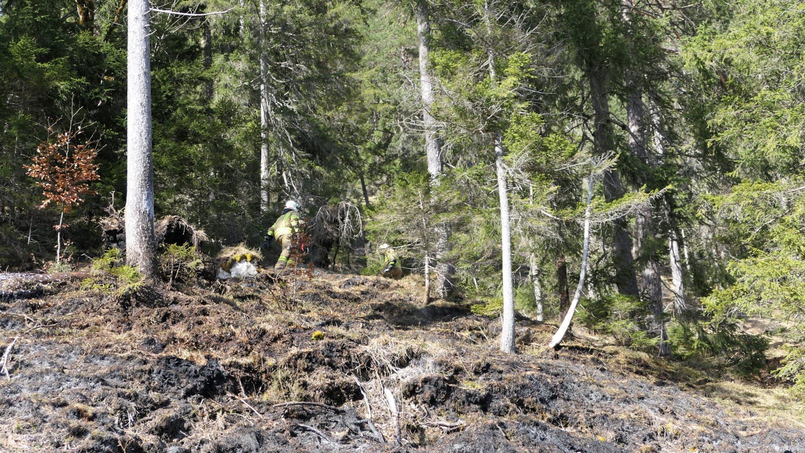 Durch das Feuer wurden Teile des Waldes in Breitenwang beschädigt.